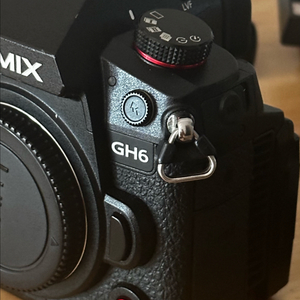 Panasonic LUMIX GH6 바디