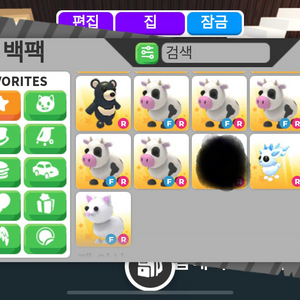 입양하세요 네거북,거북,젖소 팝니다