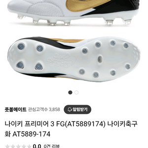 나이키 티엠포 프리미어 축구화 260