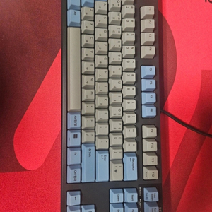 리얼포스 R3TLS