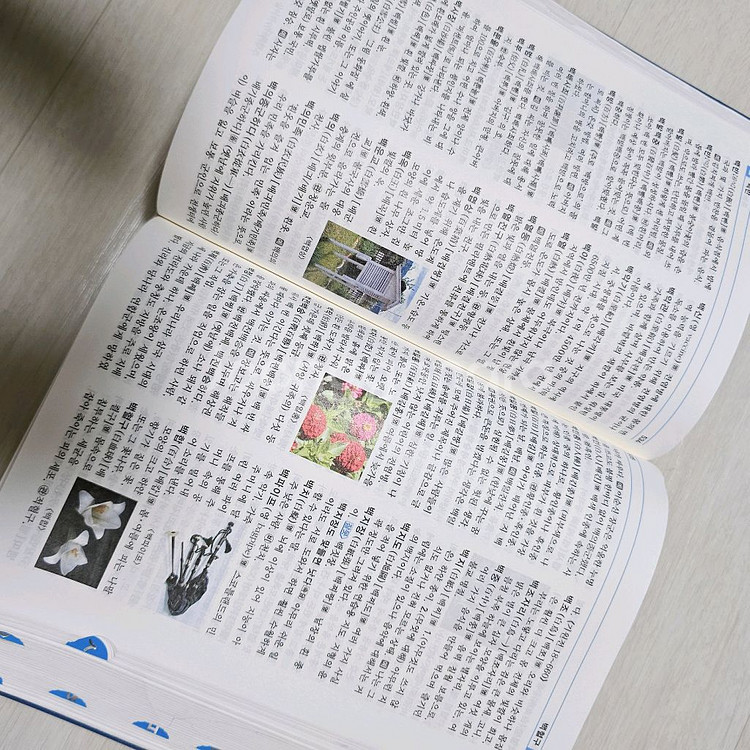 연세 초등국어사전--2