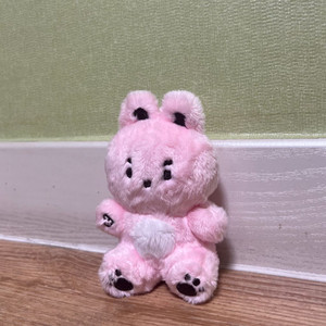 데이식스 원필인형 비공굿즈