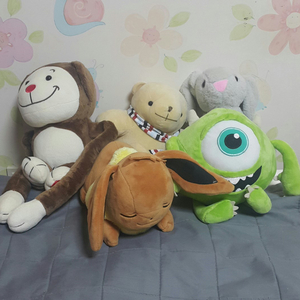 포켓몬 몬스터 잉글리쉬에그 인형 일괄