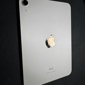 아이패드 미니6