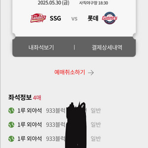 5/30 롯데 ssg 1루 외야 응원단상 4연석