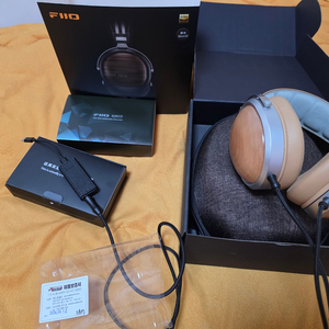 fiio ft1(너도밤나무) + fiio ka17