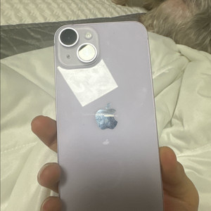 아이폰 14