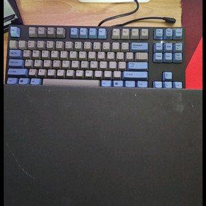 리얼포스 R2 45g tkl 풀윤활 판매