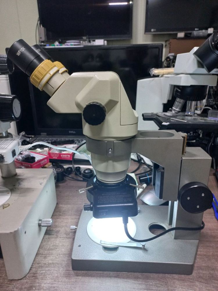(인하) 쌍안실체현미경 싸게판매 이미지