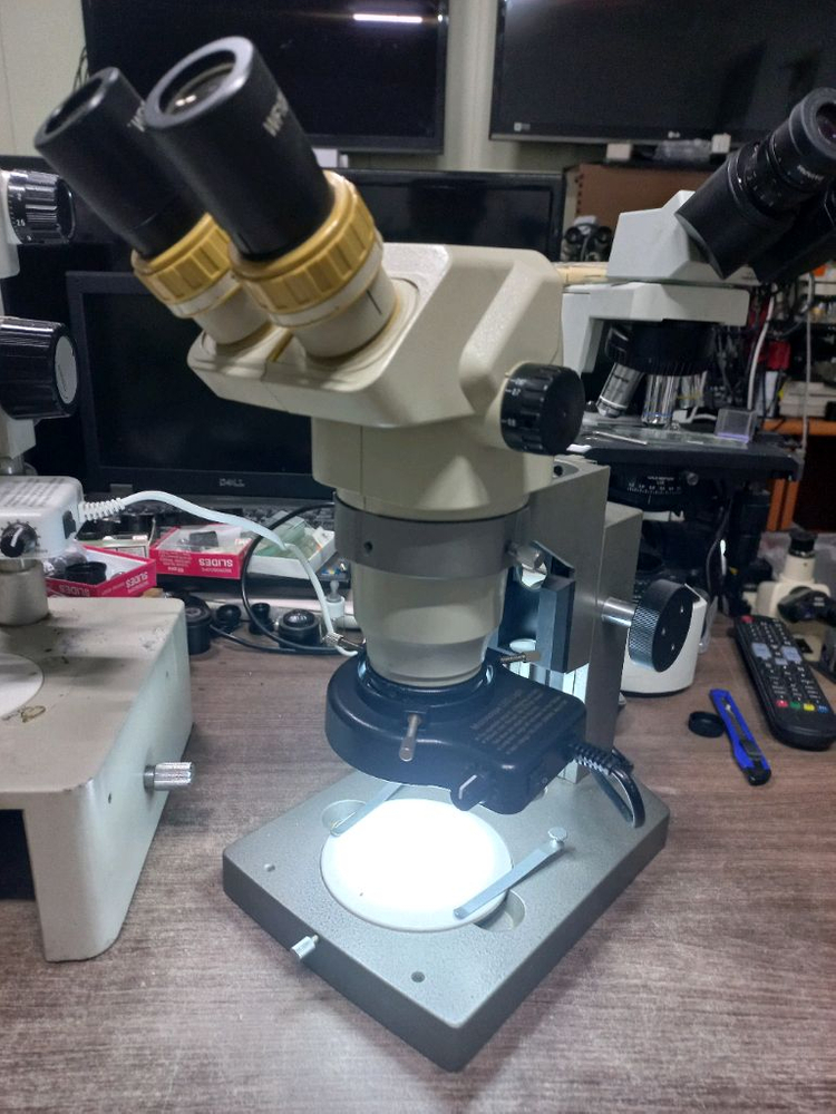 (인하) 쌍안실체현미경 싸게판매 이미지