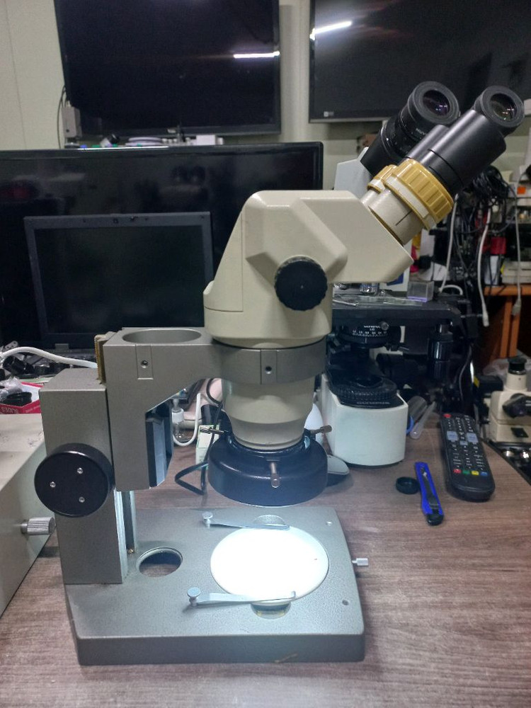 (인하) 쌍안실체현미경 싸게판매 이미지