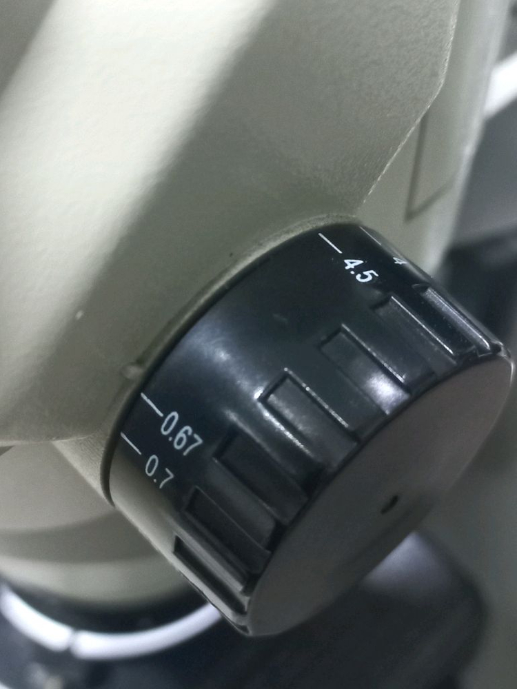 (인하) 쌍안실체현미경 싸게판매 이미지