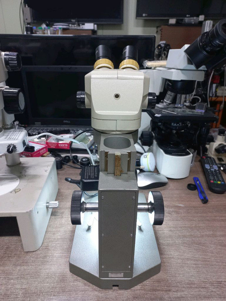 (인하) 쌍안실체현미경 싸게판매 이미지