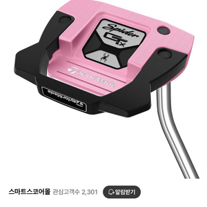 테일러메이드 퍼터 32인치