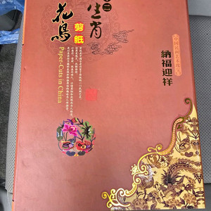 중국 전지 수공예