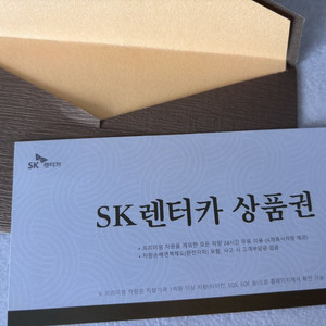 sk렌터카 상품권