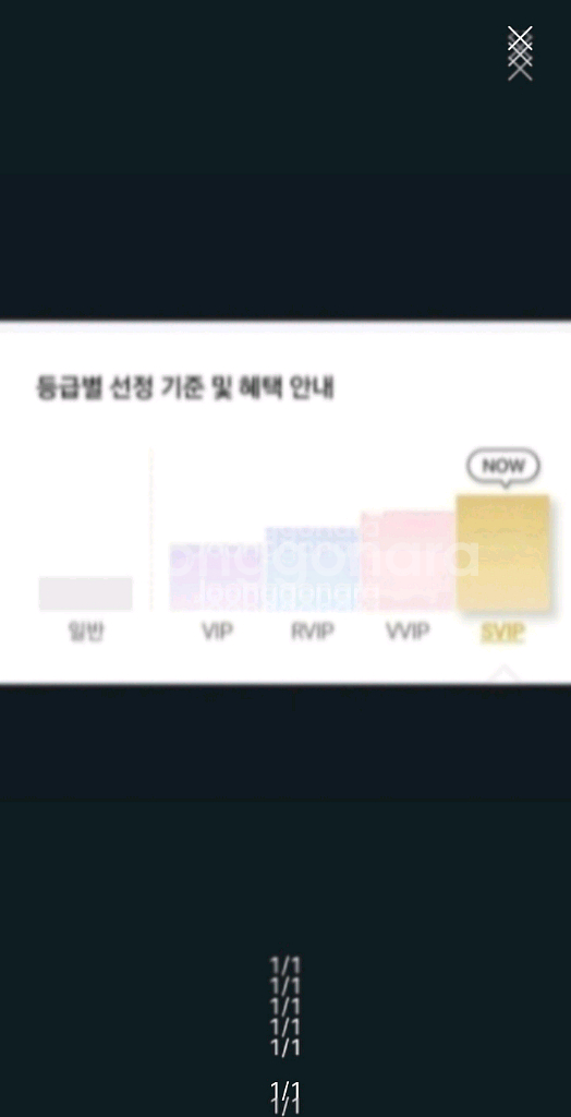 CGV 특별관 1인 만원에 예매해드려요--0