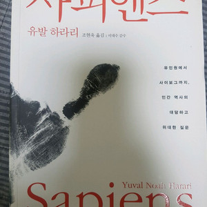 사피엔스