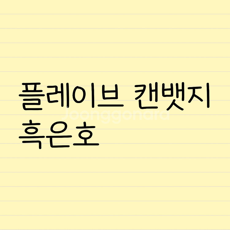 플레이브 캔뱃지 흑은호--0