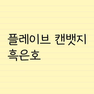 플레이브 캔뱃지 흑은호