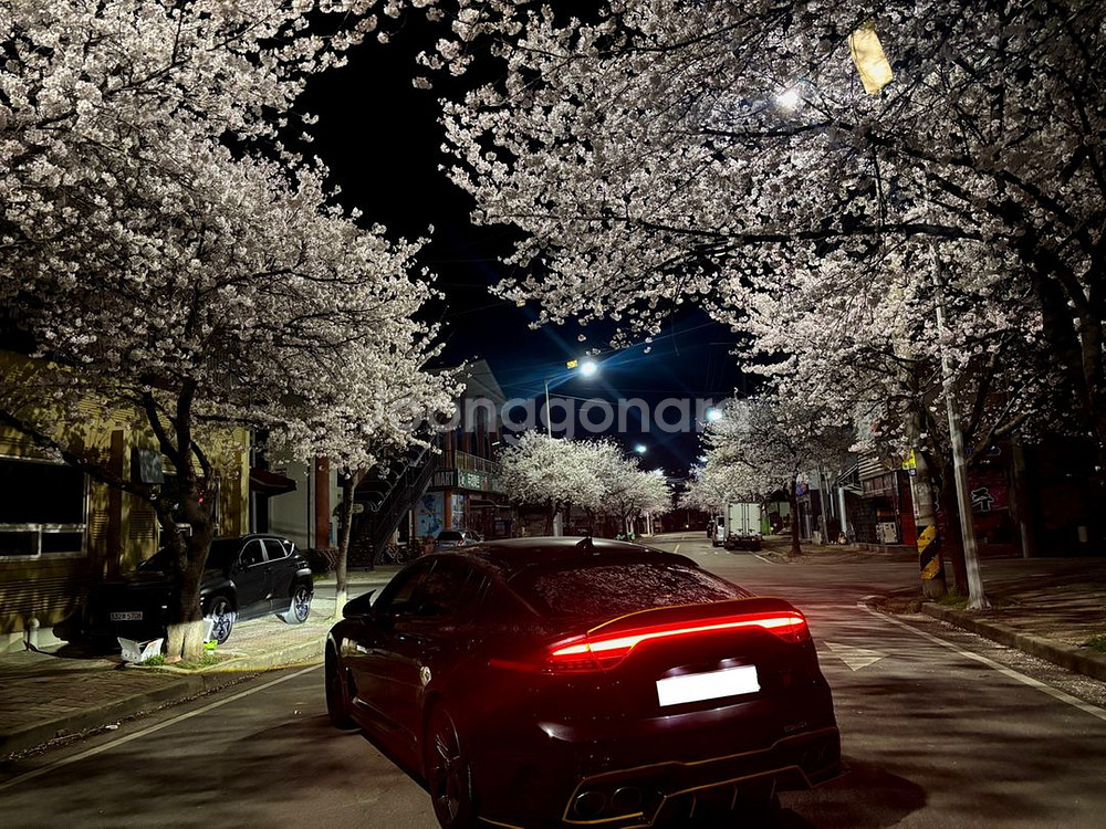 스팅어 마이스터 데루등 팔아요--0