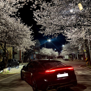 스팅어 마이스터 데루등 팔아요