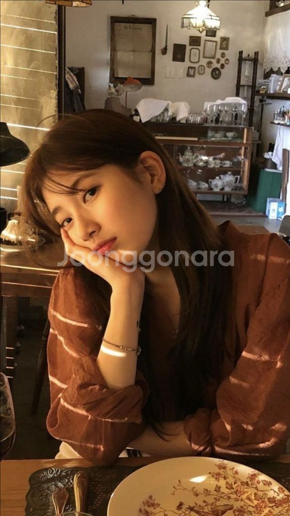 입양하세요 펫 주문--0