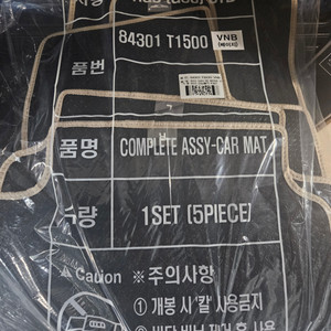 G80 RG3 SDS1 베이지 순정매트