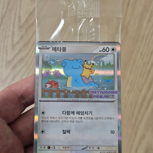 [구매][택배거래]포켓몬카드 메타몽 프로모 잠실 구해요