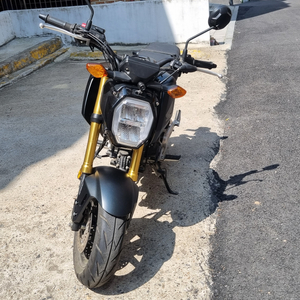 2021 msx grom 그롬 팝니다.