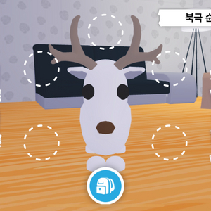 입양하세요 흰순록