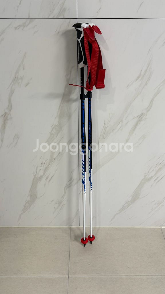 스윅스 Swix Mach IPM 카본 레이싱 스키 폴--1