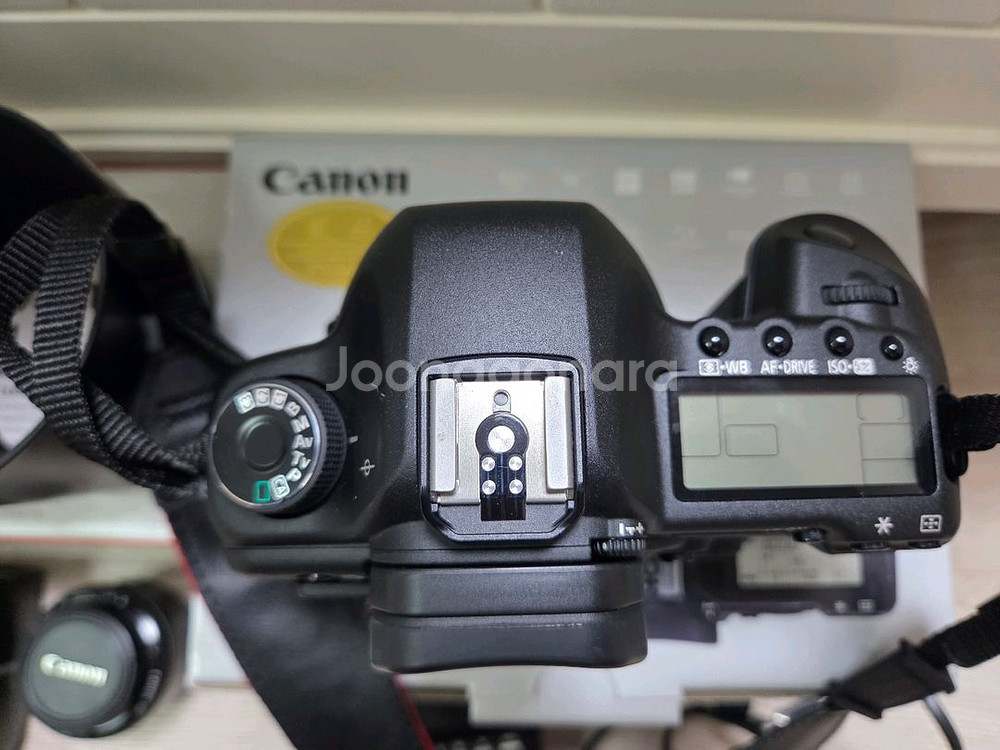 [부산]EOS 5D Mark II + 24-70mm L--3