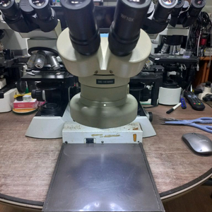 (인하)SMZ-140 쌍안실체현미경 싸게판매