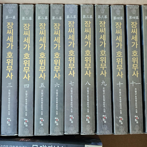 장씨세가 호위무사 전권