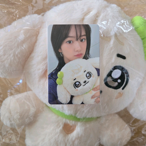 미니브팝업 강안지30cm+유진포카 (미개봉)