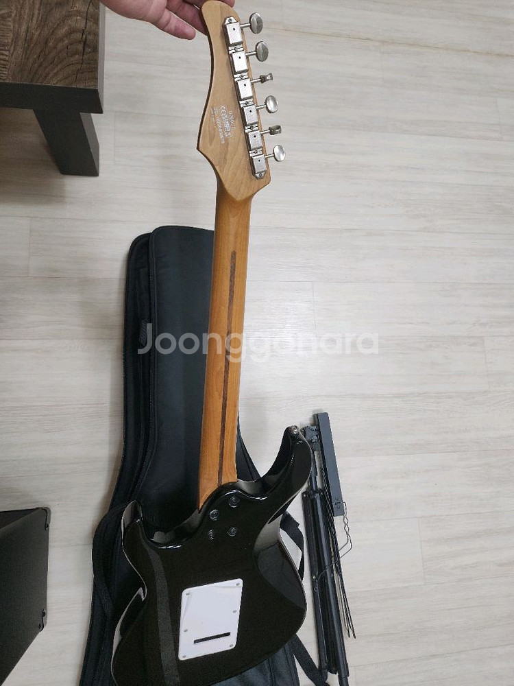 콜트 g260cs 일렉기타 팝니다--2