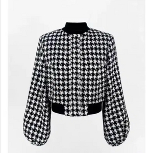 더로랑 하운드투스점버