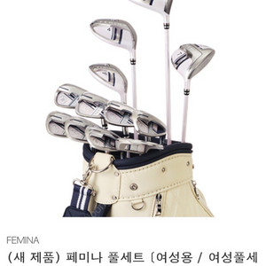 야마하 페미나 여성 골프 풀세트