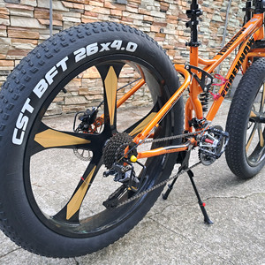 팻바이크 MTB