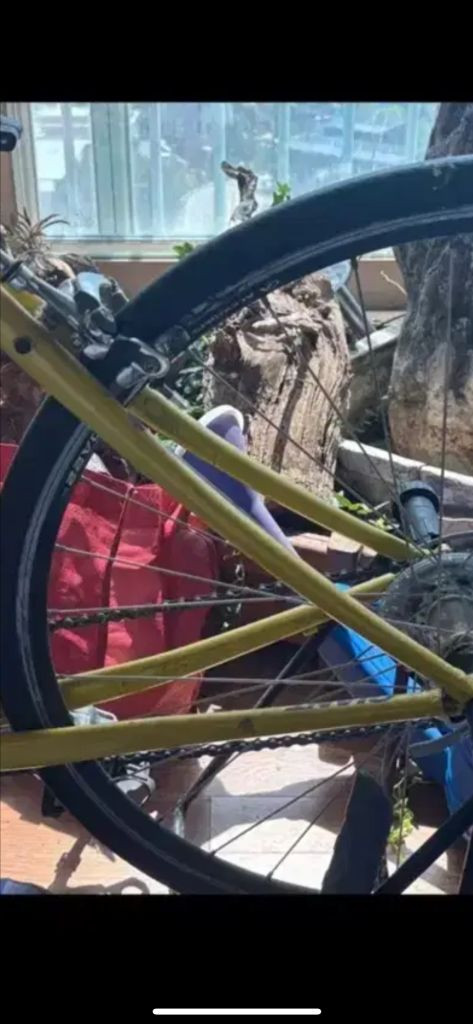 자이언트 자전거 OCR2 GIANT OCR2 옐로우실버 이미지