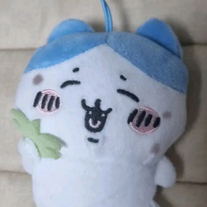 치이카와 가르마 하치와레 잡초 인형 누이