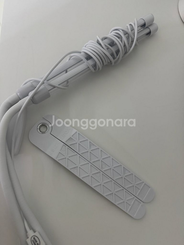 식물전파사 햇살바, 햇빛날개 2윙--3