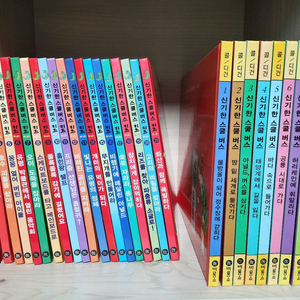 신기한 스쿨버스 키즈, 콜디건 시리즈 총31권