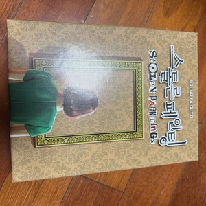 스톨른페인팅 보드게임