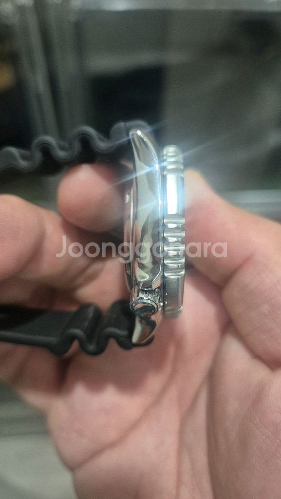 시티즌 복어 풀루메--1