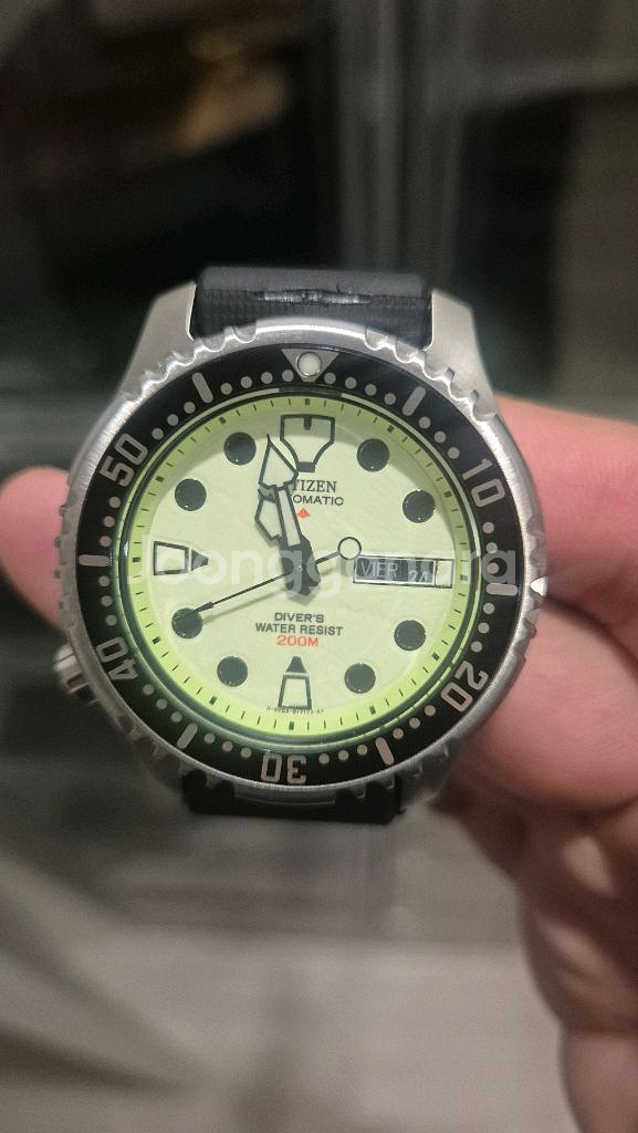 시티즌 복어 풀루메--0