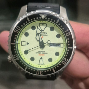 시티즌 복어 풀루메