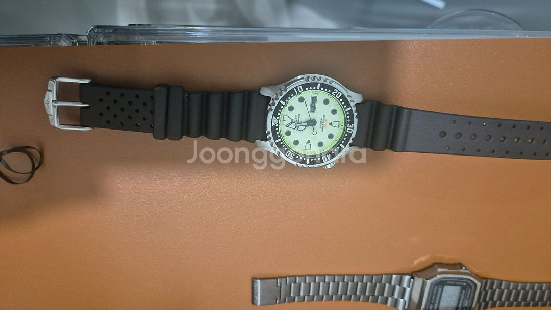 시티즌 복어 풀루메--3