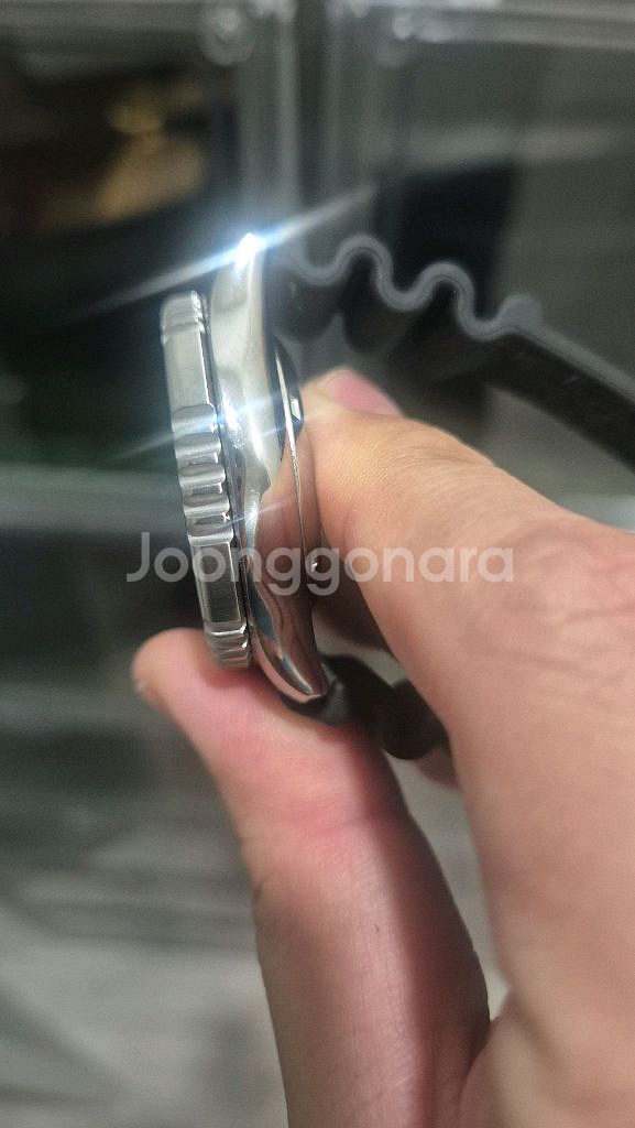 시티즌 복어 풀루메--2